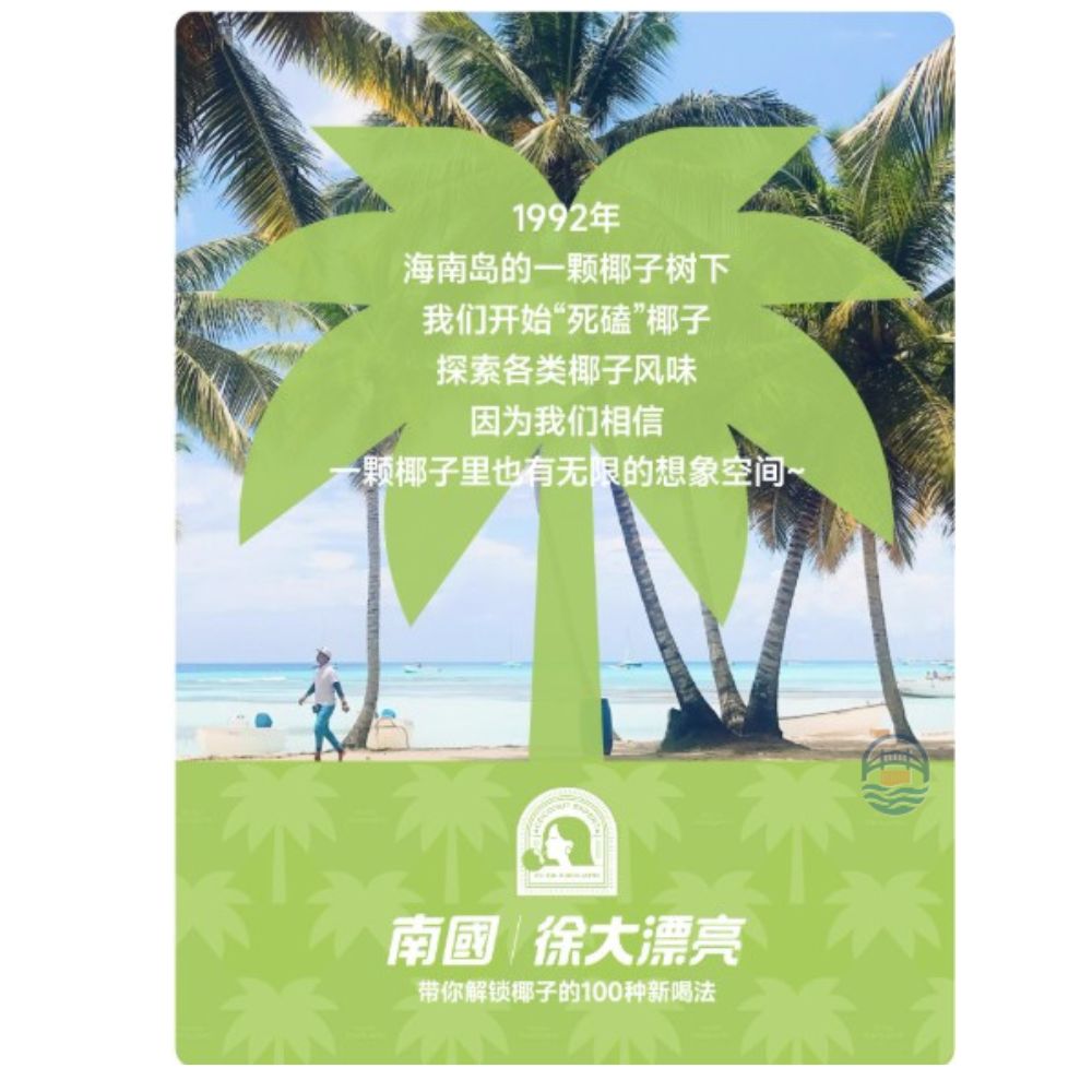 南国徐大漂亮生椰锡兰126g