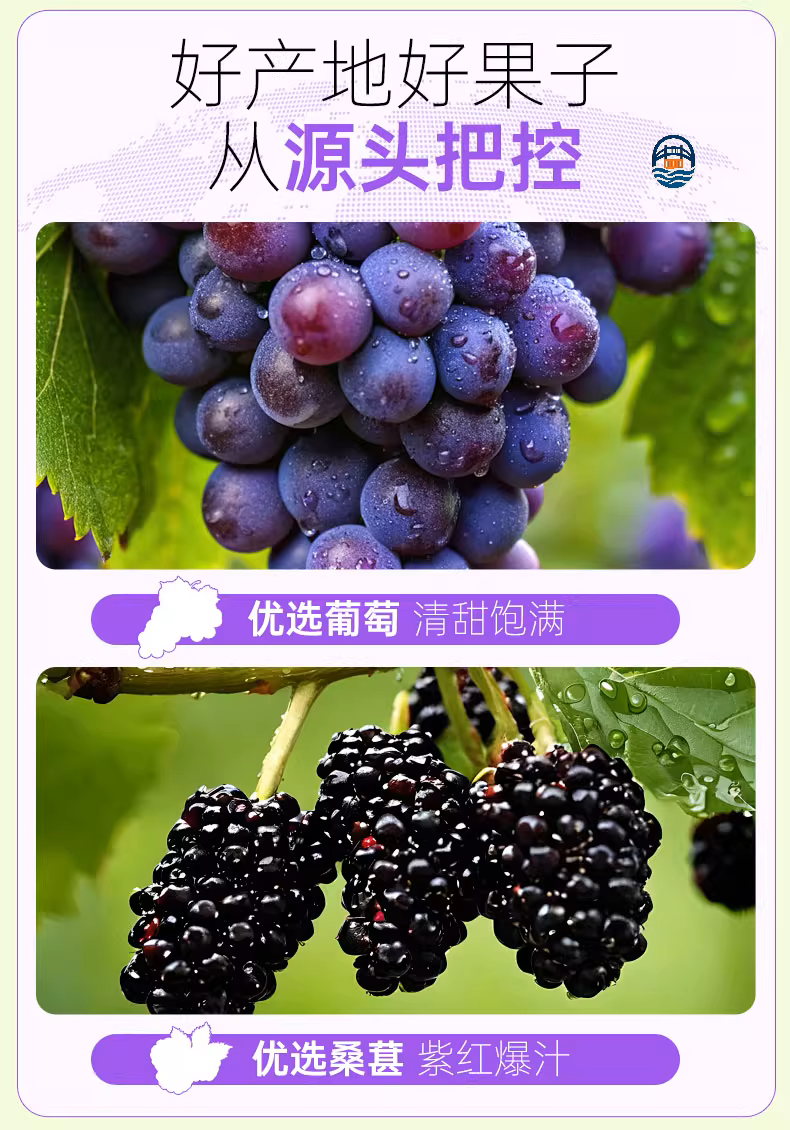 菲里维尔1L 100%葡萄桑葚复合果汁