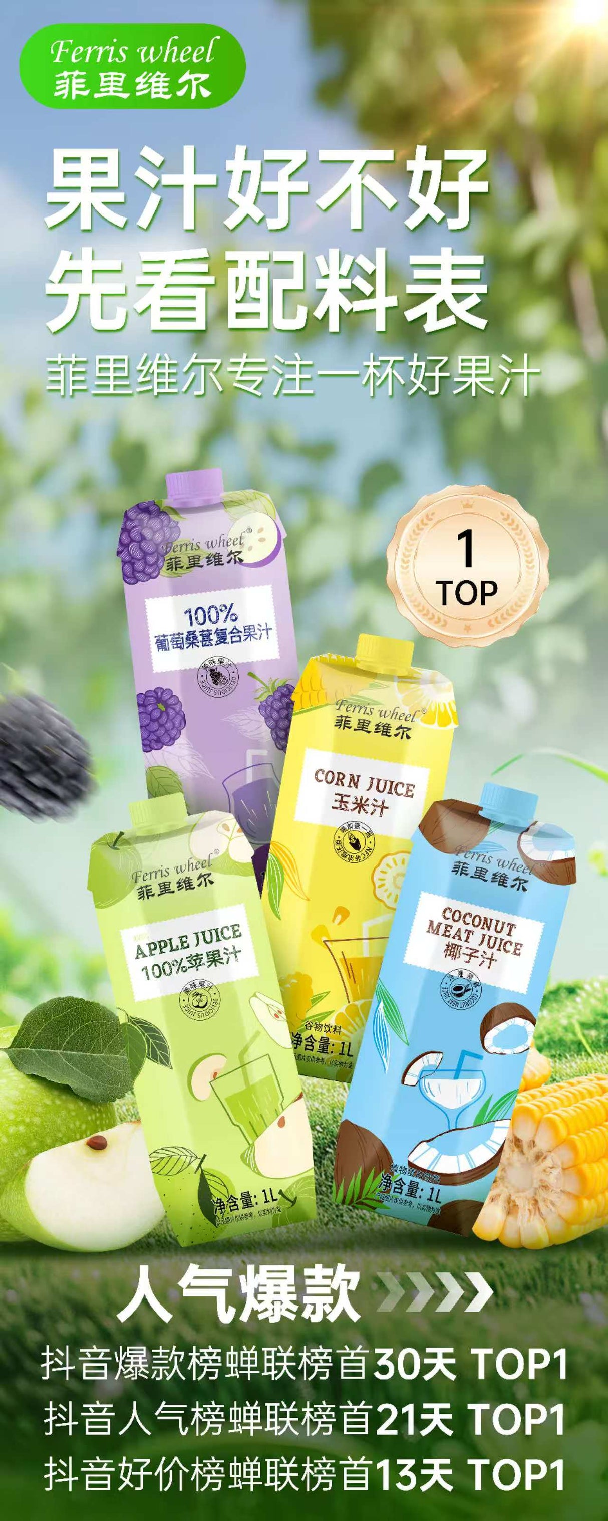 菲里维尔1L 100%苹果汁