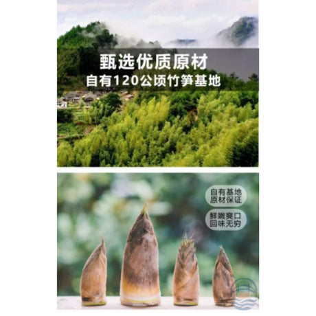 登仙桥冬笋尖300G