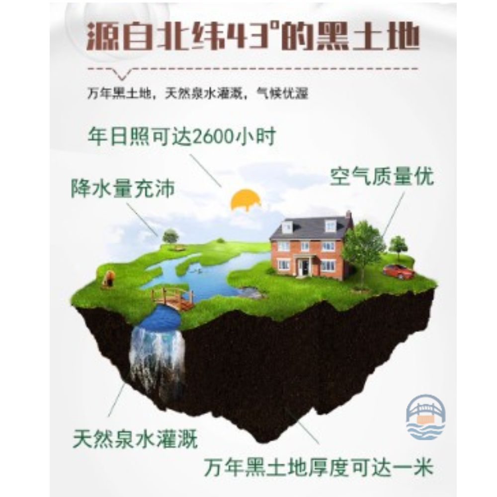 每食安有机大苞米（黄）2支装440G