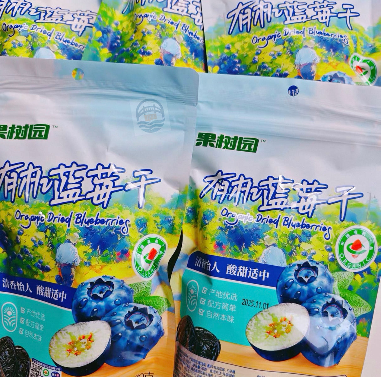 果树园  有机蓝莓干70g