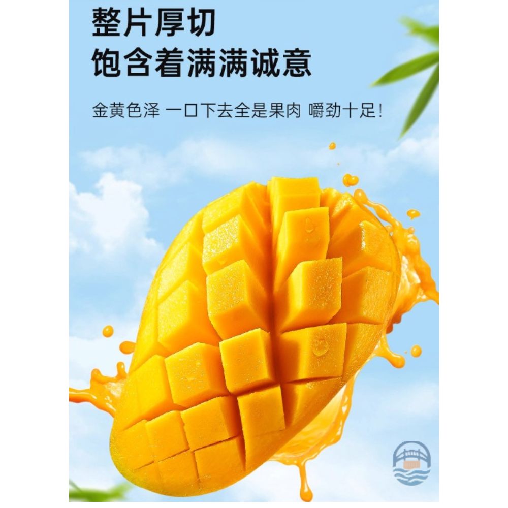 梅町日记手撕芒果干80G