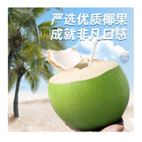 OVITEN椰子水椰子水1.25L